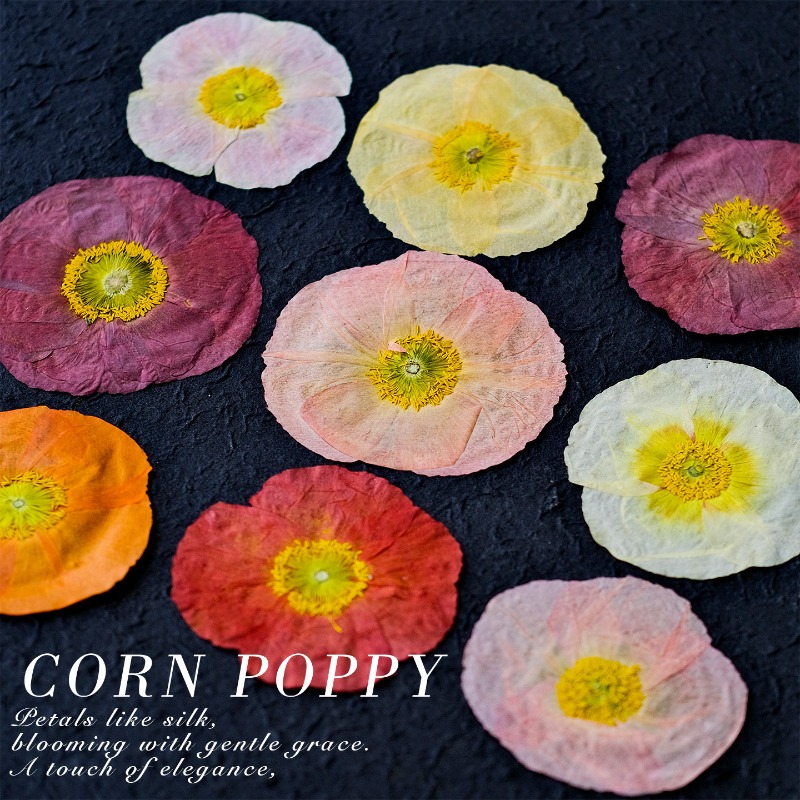 1 pz, Fiori di Papavero Natura - Art And Craft Photos recensione e prezzo