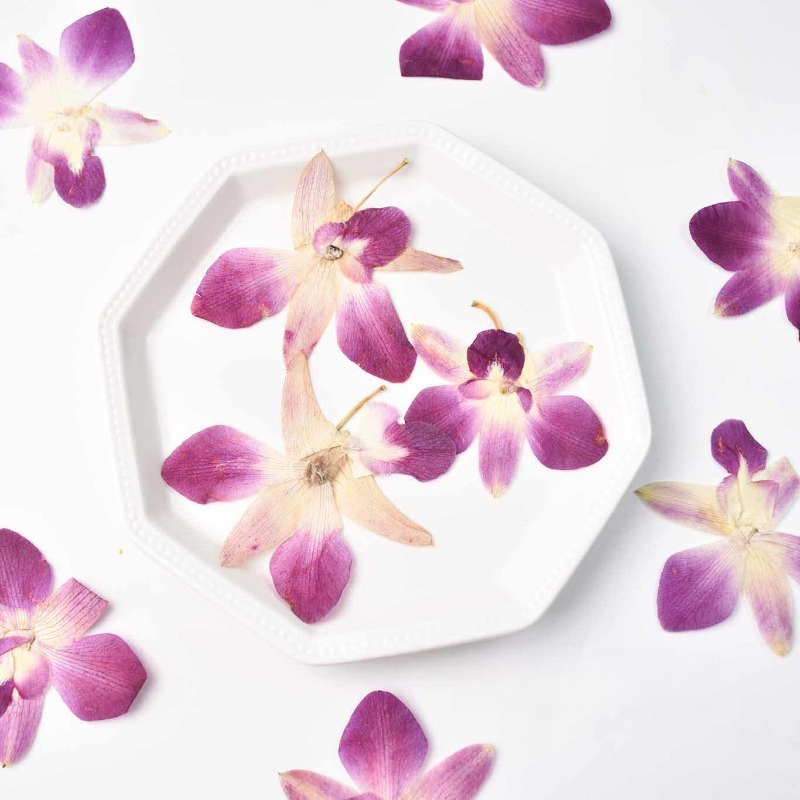 4 Pezzi, Fiori di Orchidea Far - Art And Craft Photos recensione e prezzo