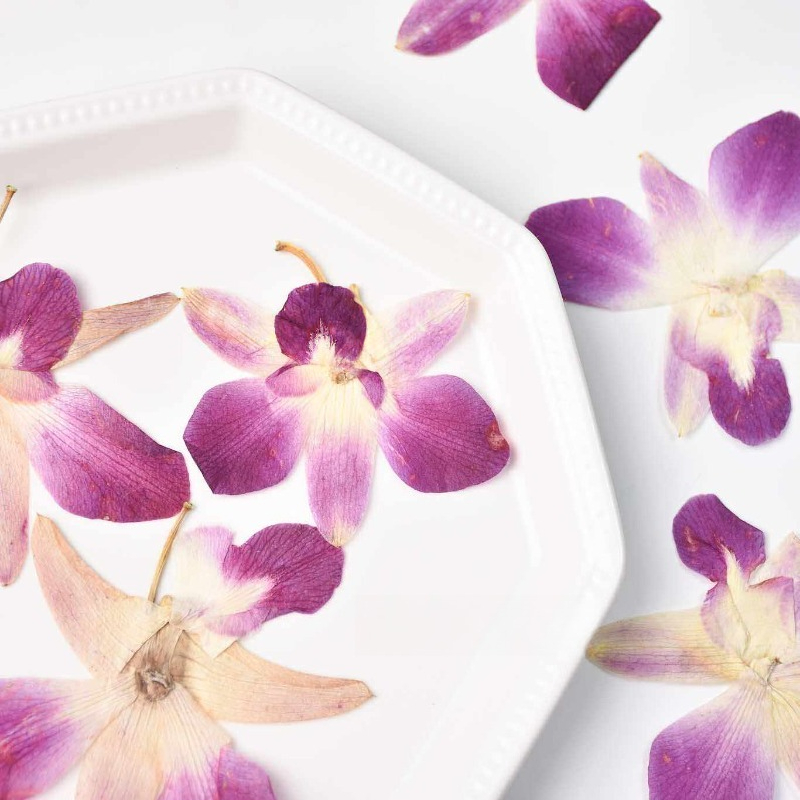 4 Pezzi, Fiori di Orchidea Far - Art And Craft Photos recensione e prezzo