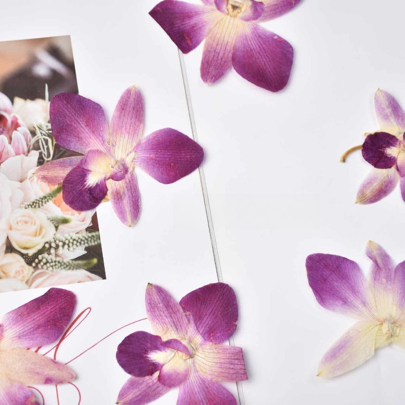 4 Pezzi, Fiori di Orchidea Far - Art And Craft Photos recensione e prezzo