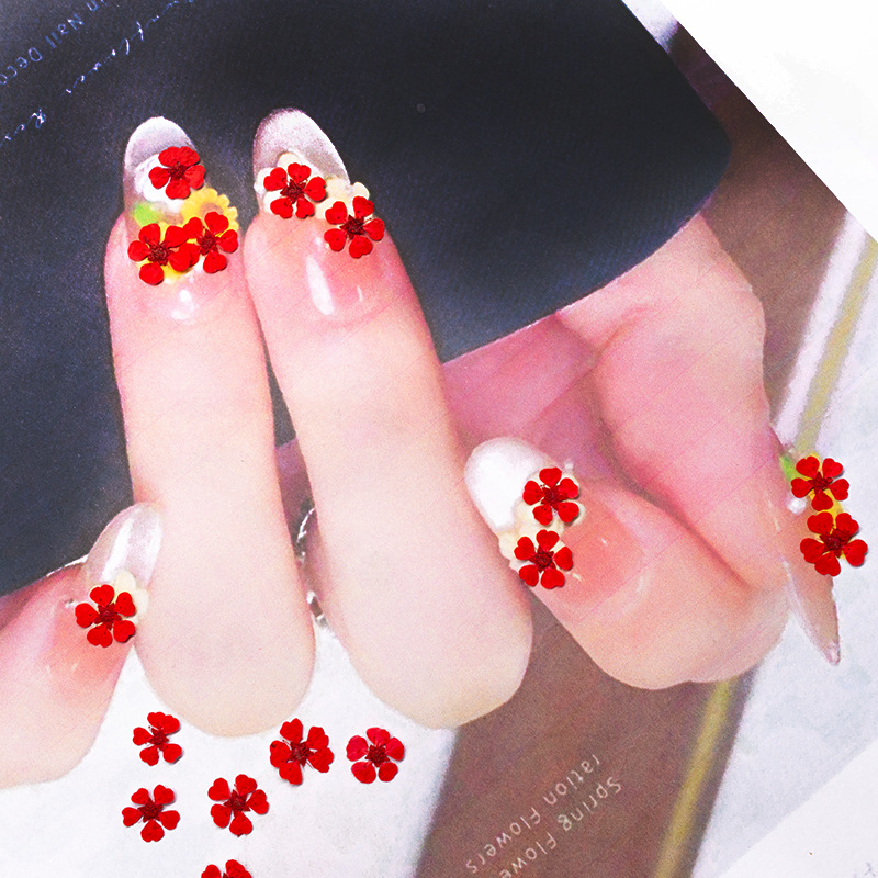 96 Pezzi Mini Fiori Pressati N - Art And Craft Photos recensione e prezzo