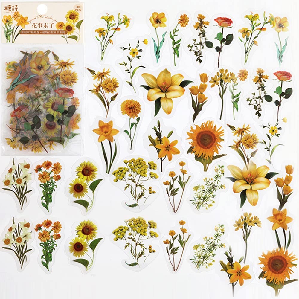 40 adesivi per album PET trasp - Art And Craft Photos recensione e prezzo