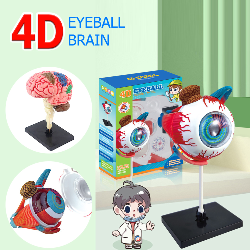 Arti di alta qualità artigiana - Art And Craft Science recensione e prezzo