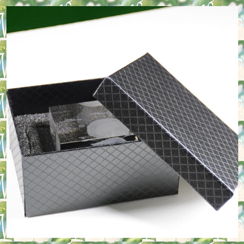 FIZP cristallo 3D cervello mod - Art And Craft Science recensione e prezzo