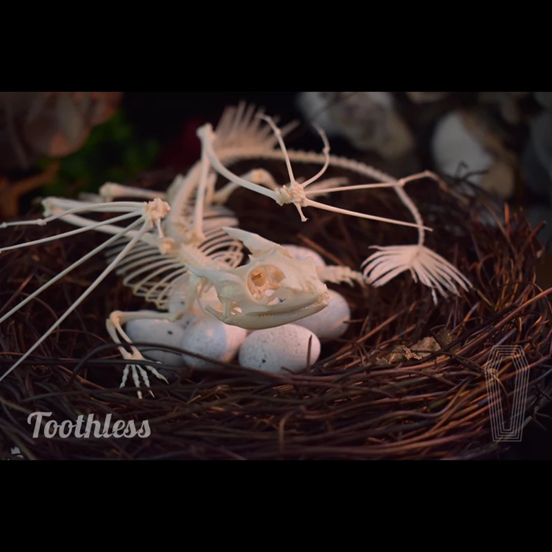Replica Scheletro di Drago Sen - Art And Craft Science recensione e prezzo
