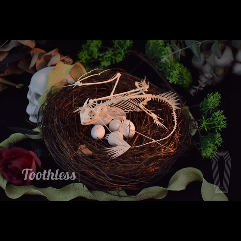 Replica Scheletro di Drago Sen - Art And Craft Science recensione e prezzo